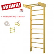 FitLogic 11674 Шведская стенка FitLogic 10 фото